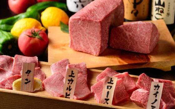 株式会社わっはっはの求人・転職情報