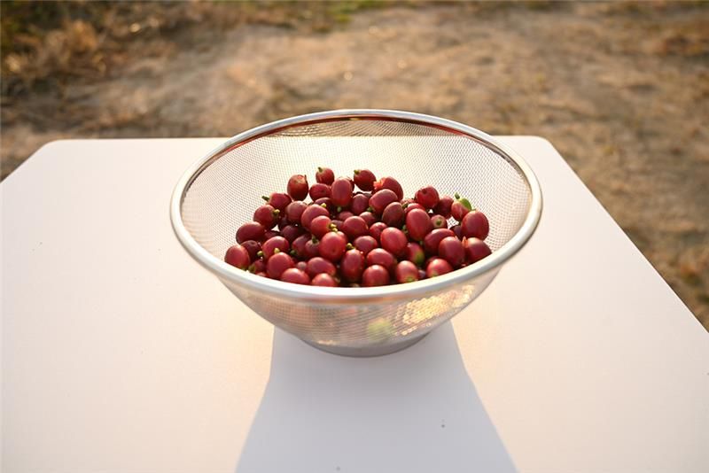 やまこうファーム株式会社のアルバイト・バイト求人情報-02