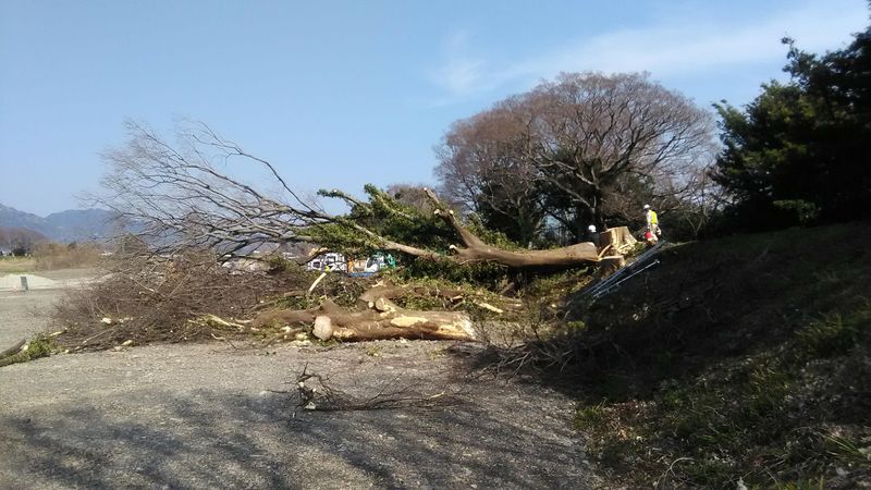 原田造園株式会社のアルバイト・バイト求人情報-03