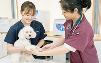 学校法人福岡安達学園　福岡ビジョナリーアーツのアルバイト・バイト求人情報-02