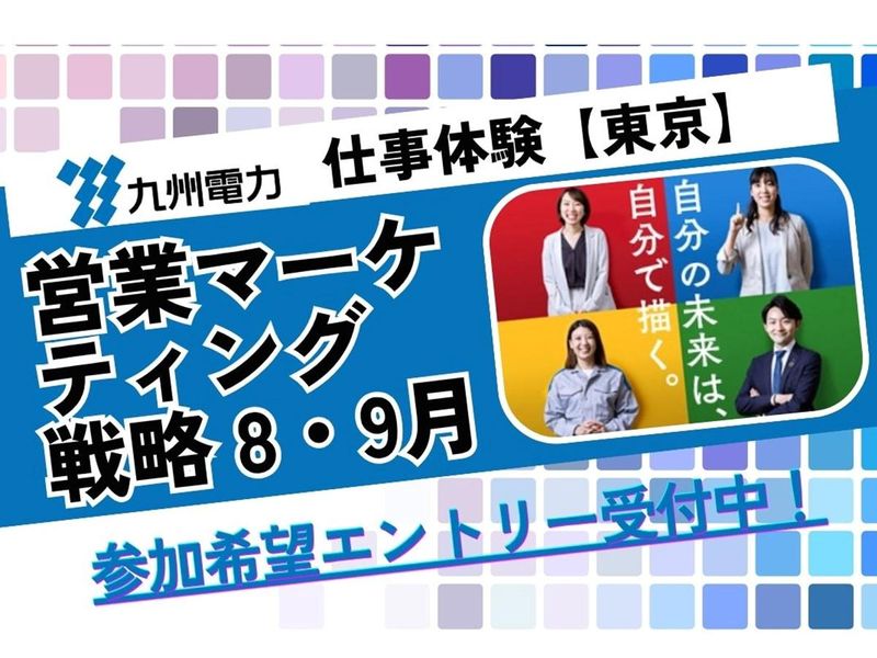 九州電力株式会社