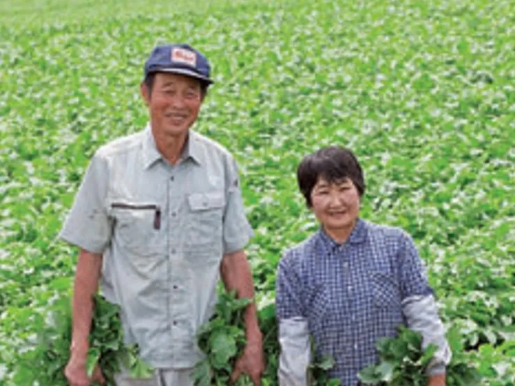 坂元農園の派遣求人情報