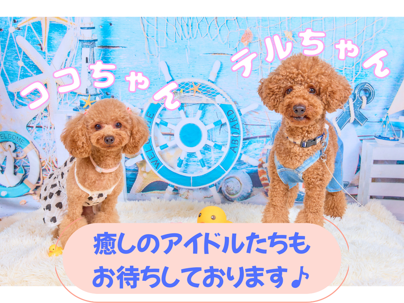 有限会社イー・エス・ケイのアルバイト・バイト求人情報-02