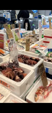 共同北部水産株式会社のアルバイト・バイト求人情報