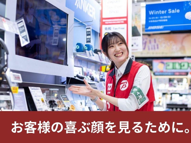 株式会社ビックカメラ