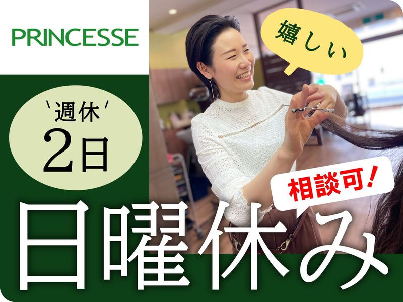 株式会社プランセスの求人・転職情報