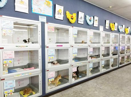 Coo&RIKU(クーアンドリク)　甲府昭和通り店のアルバイト・バイト求人情報-04