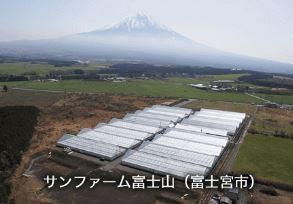 株式会社サンファーム富士山のアルバイト・バイト求人情報-05