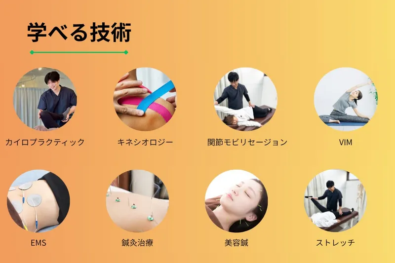 柔道整復師 スタッフ