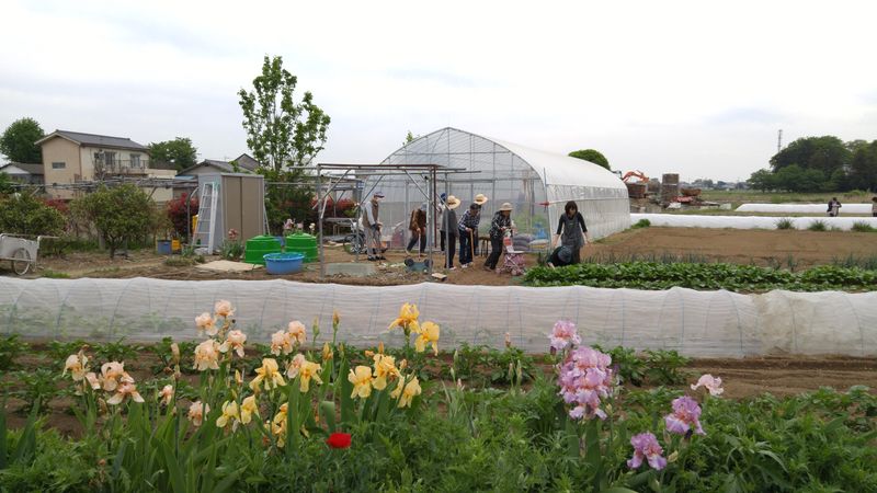 小規模多機能ホーム里の家のアルバイト・バイト求人情報-02