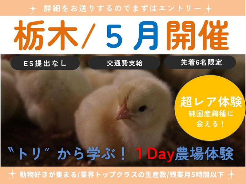 【栃木/1Day対面】トリに学ぶ&癒される!1Day農場体験