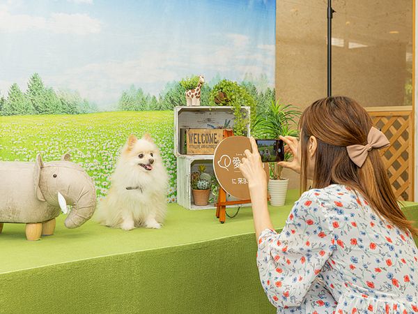 愛犬お宿の求人情報