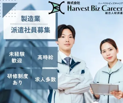 株式会社Harvest Biz Careerのアルバイト・バイト求人情報