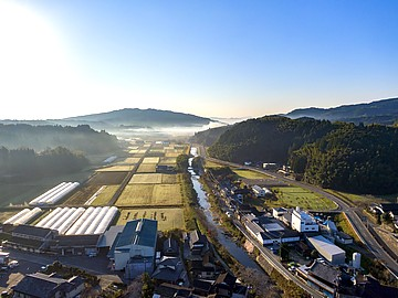 花の香酒造株式会社の求人・転職情報