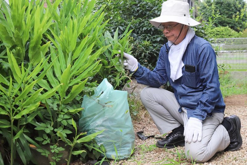 株式会社峯尾造庭園の求人・転職情報
