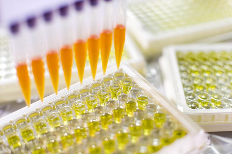 株式会社シノテスト