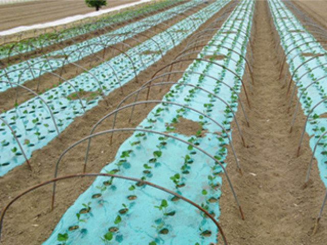 住化積水フィルム株式会社　三春工場の派遣求人情報