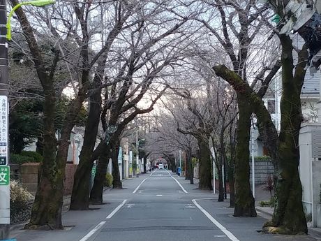 ASA成城の求人・転職情報