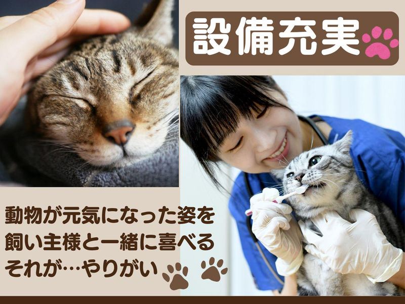 株式会社ONE for Animalsのアルバイト・バイト求人情報-02