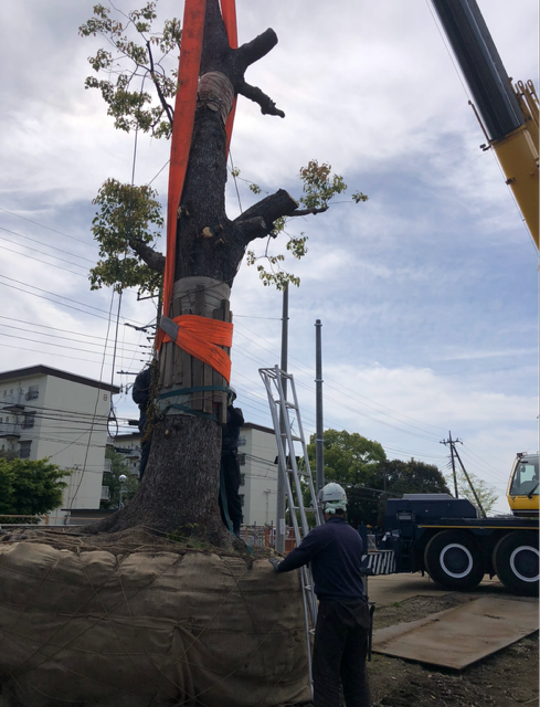 株式会社北村造園土木の求人・転職情報