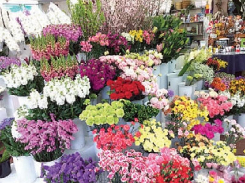 有限会社木花園のアルバイト・バイト求人情報-01