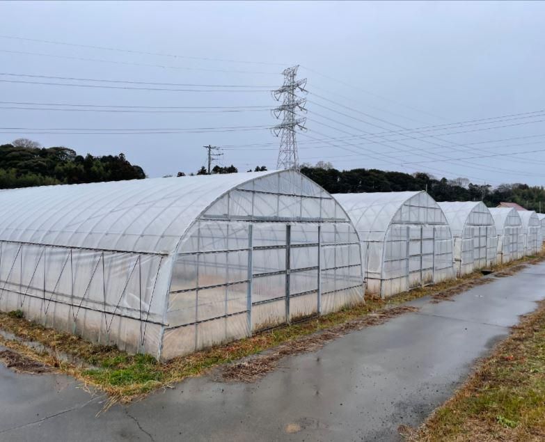 東海ライスセンターの求人情報