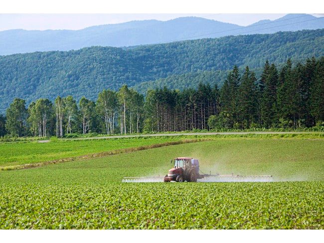 有限会社グリーンサポートの求人・転職情報