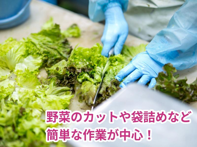 株式会社北海道物産興社のアルバイト・バイト求人情報-02
