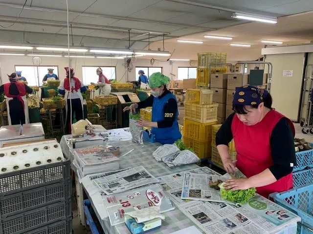 有限会社アグリのアルバイト・バイト求人情報