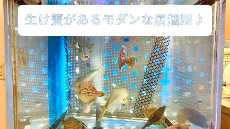 しんぐう村のアルバイト・バイト求人情報-05