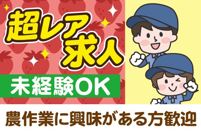 加瀬いちご農園の求人・転職情報
