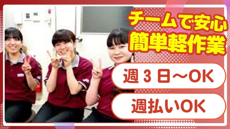 株式会社リージス・ジャパン 九州DO