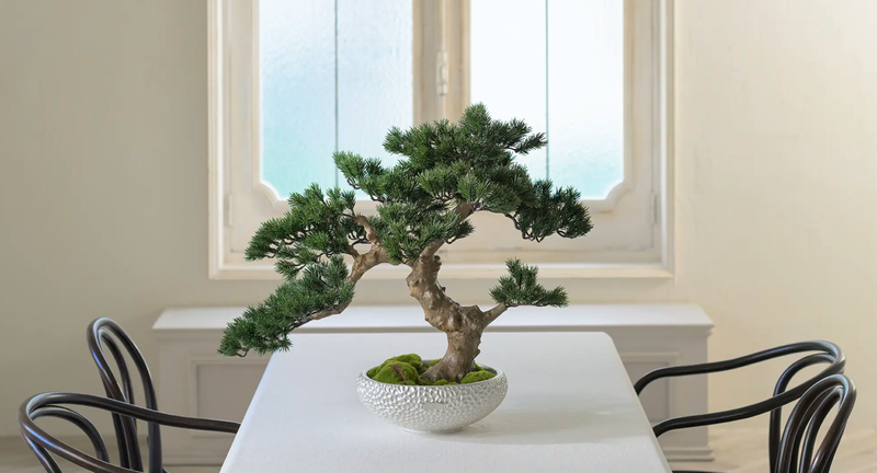 株式会社エミリオ・ロバの求人・転職情報