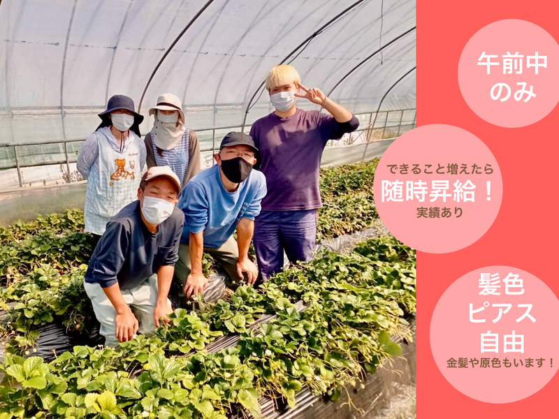 渡辺いちご農園のアルバイト・バイト求人情報-01