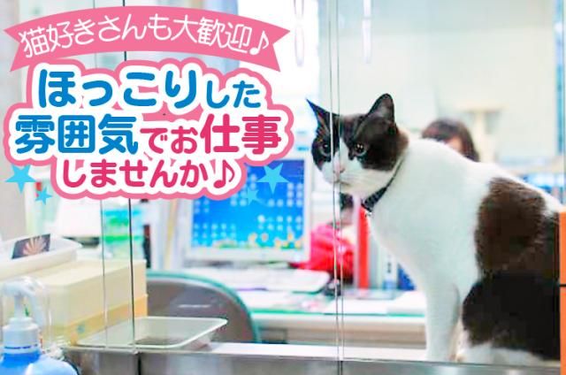 社会福祉法人優光福祉会特別養護老人ホーム　大国さわやか苑の求人・転職情報