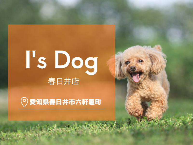 合同会社Ｉ　Ｗａｎの求人・転職情報