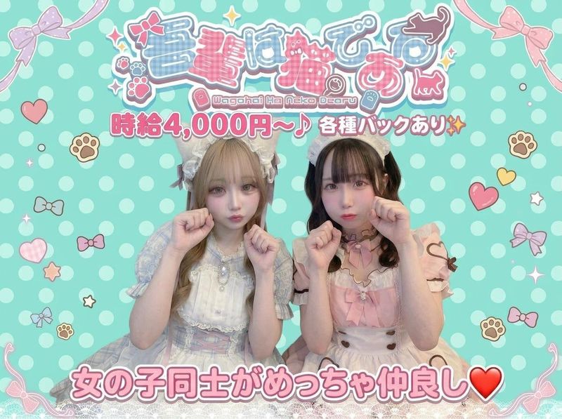 吾輩は猫である~中野区から通っているキャストもいます ~のアルバイト・バイト求人情報-03
