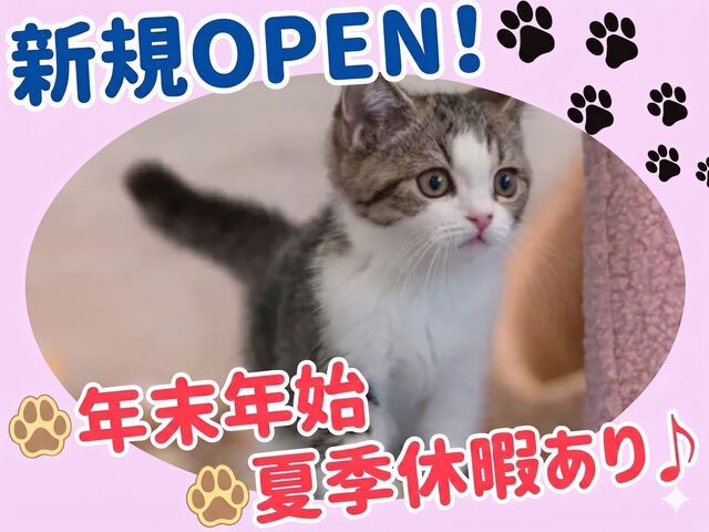 株式会社Sunny　ANELLA CAFEの求人・転職情報