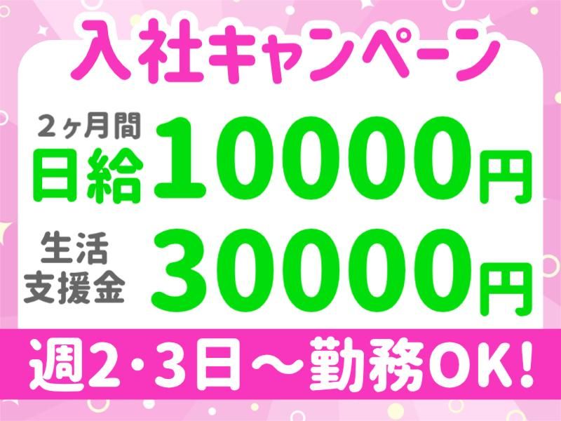 株式会社パルズパートナー