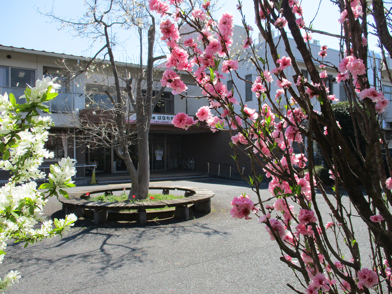 医療法人社団美里会の求人・転職情報