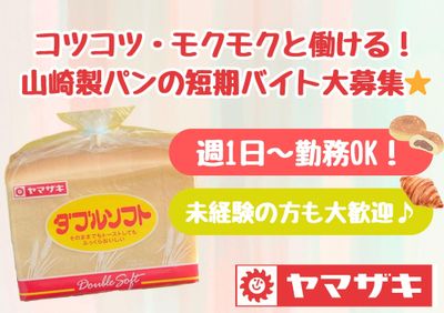 神奈川県 横浜市の週1日 土日のみアルバイトの求人情報｜Indeed 