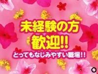 株式会社ジョブセレクト　岡崎オフィスの求人・転職情報