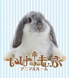 アニマルルームいけもふのアルバイト・バイト求人情報-02
