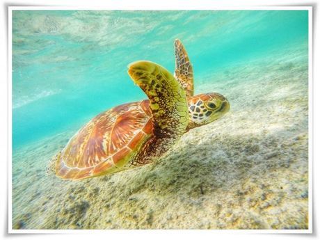 株式会社ヒューマニックのアルバイト・バイト求人情報-03