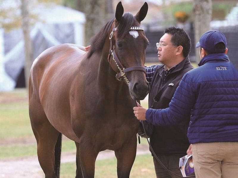 株式会社ジェイエスの求人・転職情報