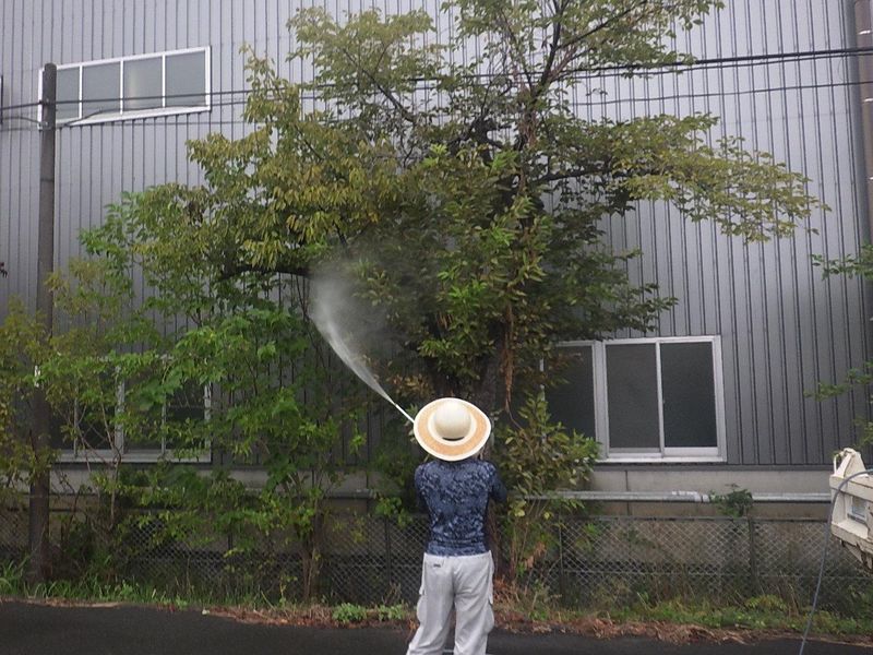 有限会社　小林造園のアルバイト・バイト求人情報-02