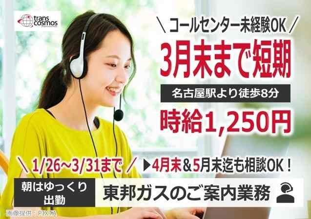 トランスコスモス株式会社の求人・転職情報