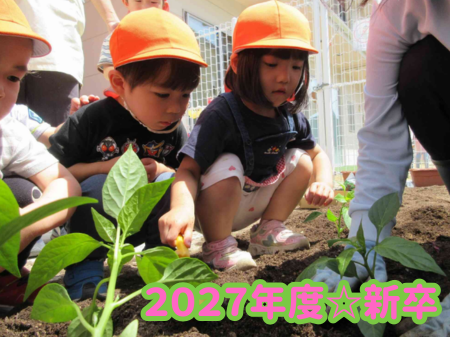 株式会社ニチイ学館の求人・転職情報