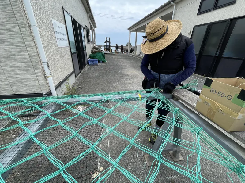 菖蒲田浜海苔協業の派遣求人情報