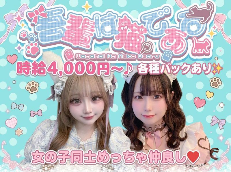 吾輩は猫であるのアルバイト・バイト求人情報-01